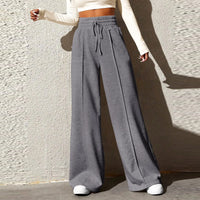 Relaxed Pleated Wide Leg Brushed Sweatpants