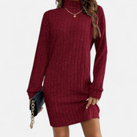 Refined Textured Knit Turtleneck Sweater Dress