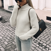 Relaxed Chunky Ribbed Turtleneck Fall Sweater